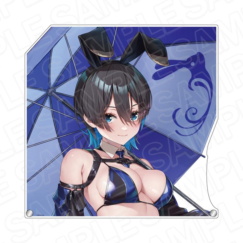 

Содержимое Seed Bunny Garden Очень большая акриловая доска Miuka Race Queen Общая высота примерно 300 мм Акриловая вырубная версия