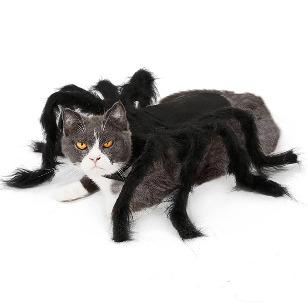 Costume da Ragno per Cani Travestimento Halloween Animale Domestico Animale Morbido Costume Cappotto Ragni Tema Accessori Cosplay