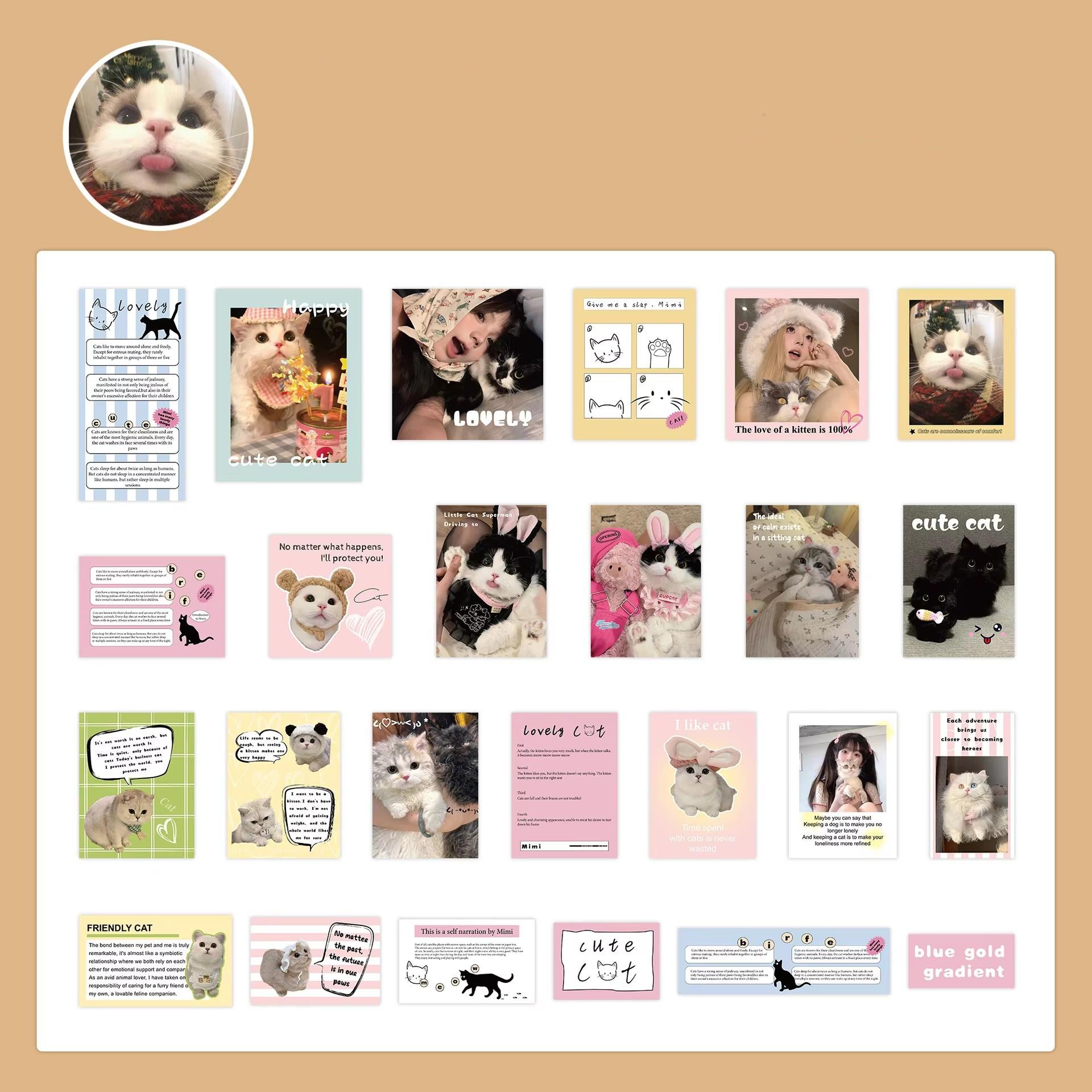 

50 листов модной девушки скрапбук журнал наклейка милый реальный снимок котенок канцелярские принадлежности наклейка DIY Декор багаж гитара телефон наклейка