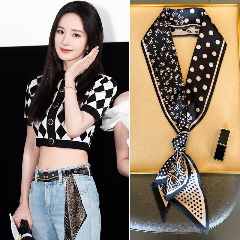 Ceinture Écharpe Mode Femme 2025: Accessoire de Taille Élégant pour Jupes et Jeans - Design Long et Élégant en Ruban