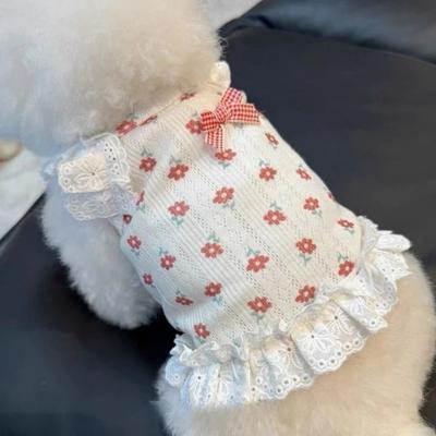 Ropa y calzado – Chalecos y camisas para perros