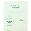 SKIN 1004 - Madagascar Centella Tea-trica BHA Foam