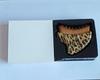 Leopard Print Lymphatic Contour Massage Brush for Face, Eyes, and Neck
