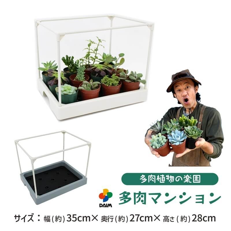 DAIM Succulent Plant Greenhouse 35x28x29cm, White