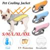 Gilet rafraîchissant d'été pour chien, veste réfléchissante pour animaux de compagnie, manteau respirant, vêtements pour chiots