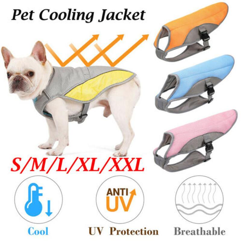 Gilet rafraîchissant d'été pour chien, veste réfléchissante pour animaux de compagnie, manteau respirant, vêtements pour chiots