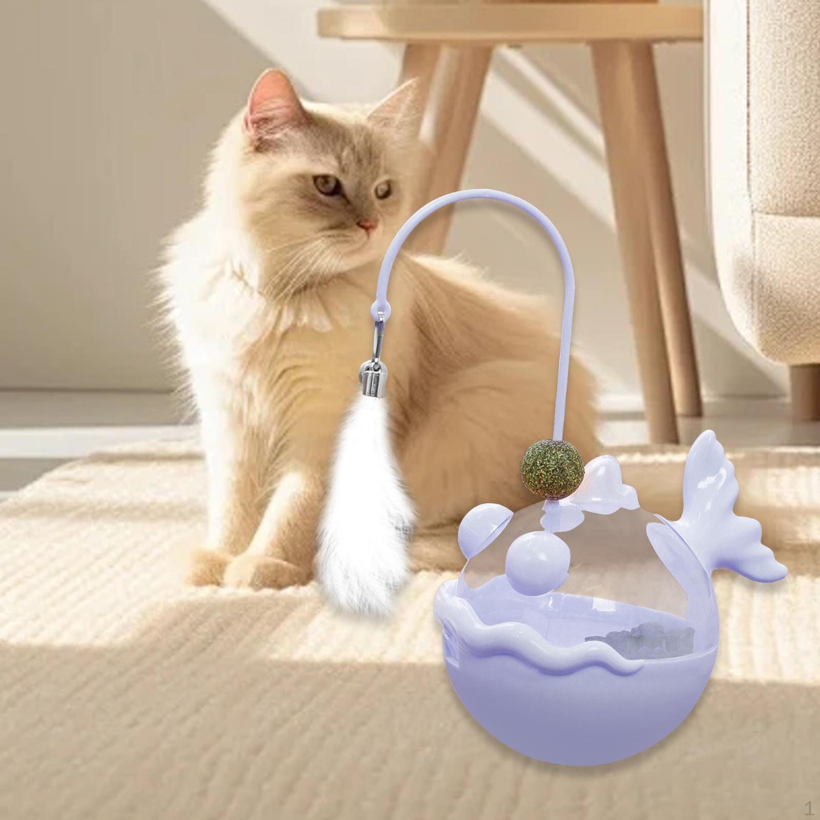 

Cat Activity Ball with Treat Dispenser for Indoor Play Violet