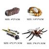 Oenux Simulation Luna Moth Salmon Butterfly Ants Life Growth Cycle Animals Model Action Figures Educational Miniature Kids Toy