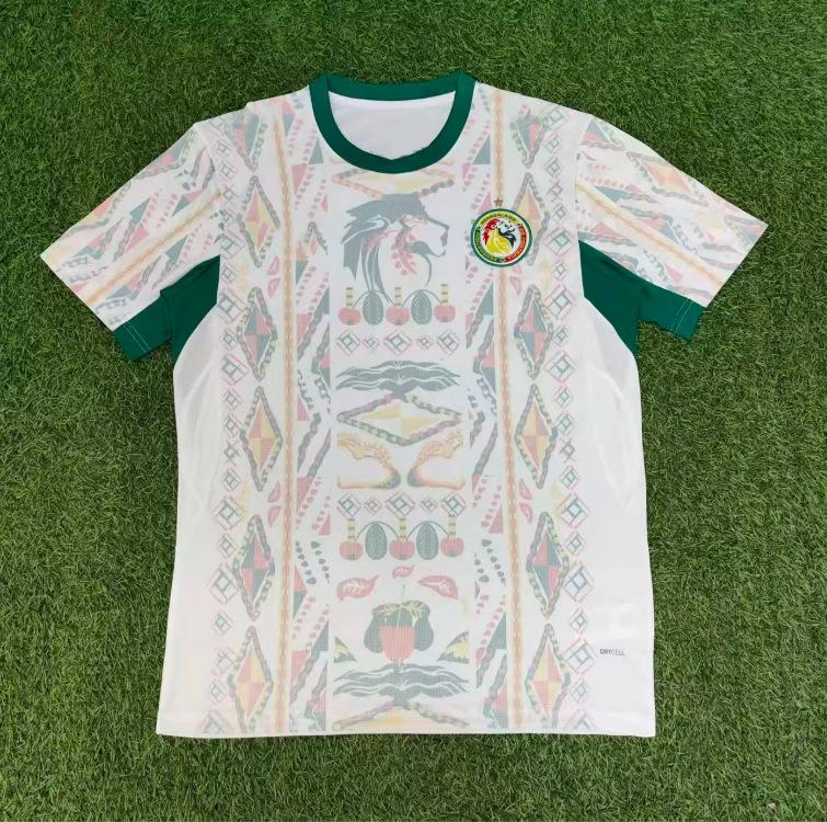 26-27 Season National Team Fan Version Short-sleeved Football Uniform Spain Argentina Germany Tunisia Jersey
