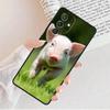 Funny Cartoon Pig Phone Case For Samsung Galaxy S25 S23 S30 S8 S21 S20 FE S24 S22 Note 10 20 Plus lite Ultra