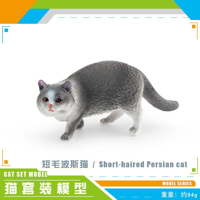 Realistic Short-haired Persian Cat Model For Kids Educational Pet Decoration