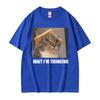 Wait Lm Thinking Funny Cat Meme Tee Shirt Unisexs Unisex Clothing Fashion Humor Trend Tshirts Casual Oversized T Shirt Streetwear
