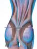 Russian Long-Sleeve One-Piece Swimsuit for Women
