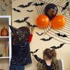 Halloween Bats Wall Decor Waterproof Bat Decals Wall Decor 96pcs Scary PVC Bat Stickers For Wall Door Front Porch Outdoor Indoor
