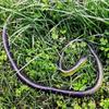 Realistic Fake Rubber Toy Snake, Black, Fake Snakes That Look Real, Prank Stuff 80cm