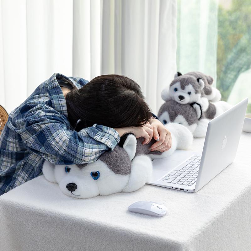 Cute Husky Plush Toy - Perfect Birthday Gift for Kids