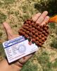 Mala de Rudraksha Certificada em Laboratório 108+1 Contas Origem Indiana 5 Mukhi 5 Faces, Contas Grandes 10mm 45-48 Polegadas, Rosário de Shiva Mala Jaap Yoga Oração