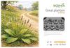 Scenics Studios Diorama Accessory Plantain 3D Printed Kit SXP35004 1/35 (8 Pieces)