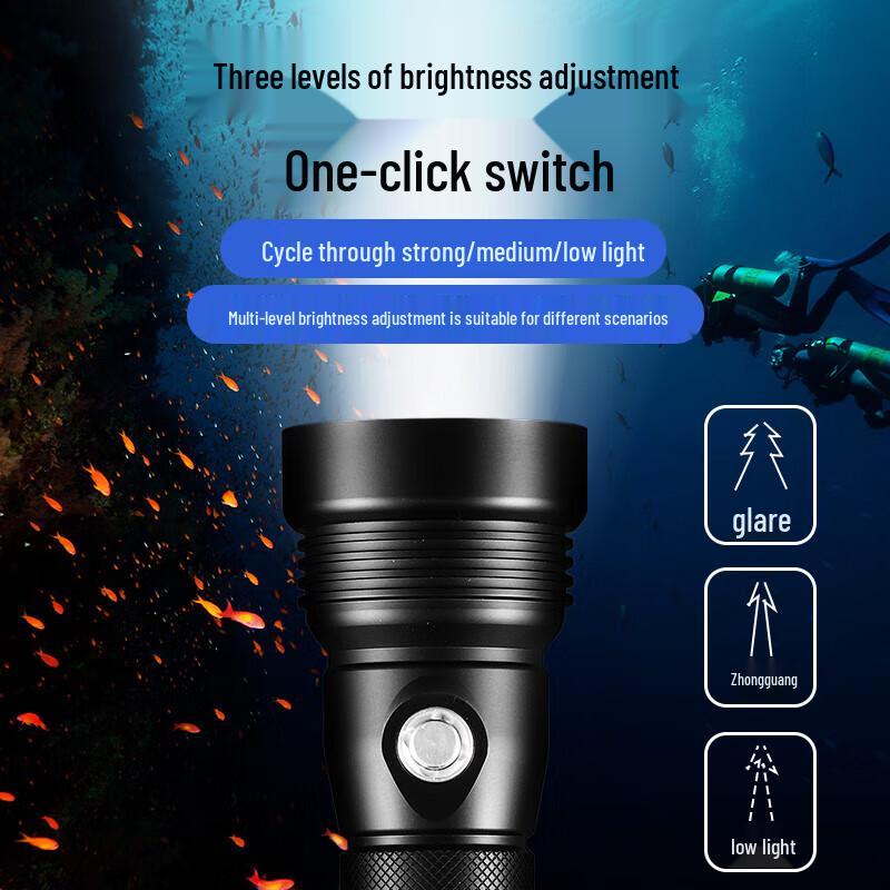 Satuo Professional Diving Flashlight