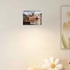 2026 Kitten Themed Wall Mounted Calendar Planner 12 Month from Jan To Dec with Date Highlight For Daily Weekly Planning