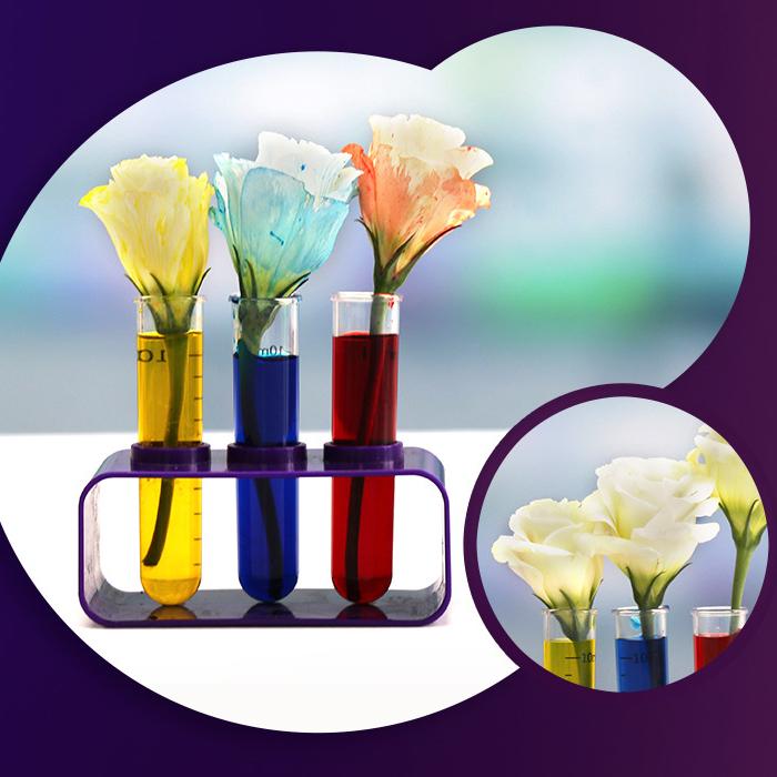 Педіатричний експеримент Дитячий науковий експеримент набір освітніх іграшок для раннього навчання Мале виробництво наукових експериментальних іграшок