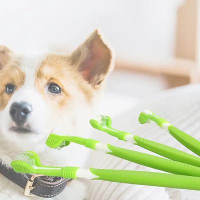 Cani – Prodotti per la cura dei cani