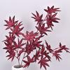 Maple Artificial Leaves Flower Wedding And Event Decor For Photography Home Use