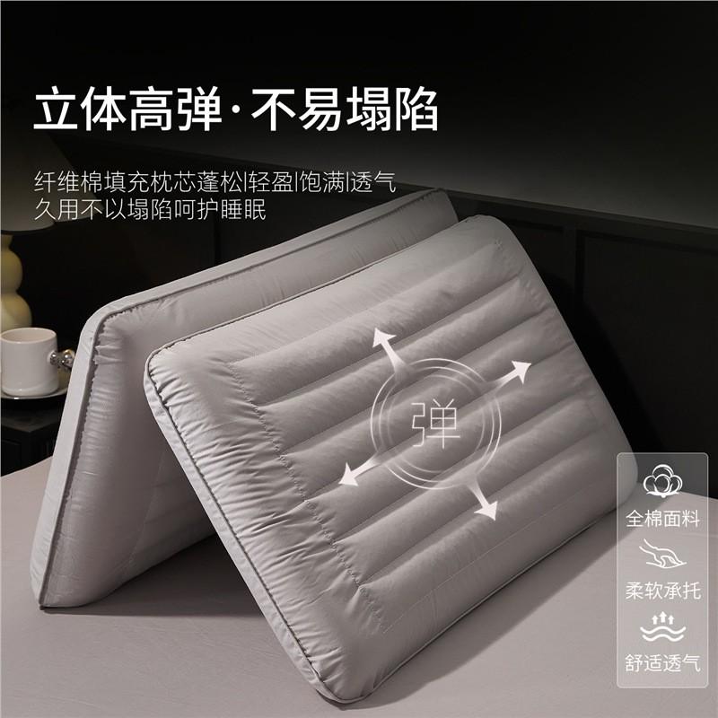 Memory Foam Buckwheat Pillow Neck Support Sleep Aid Low Profile Single Bed With Cotton Cover