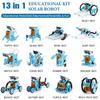 13-in-1 Solar & Battery Dual-Use DIY Robot Toy Kit