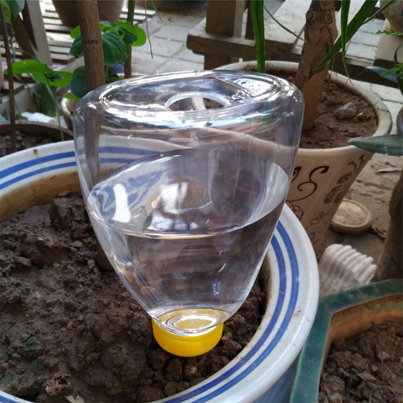 Home Drip Irrigation Device for Succulents - Easy Plant Watering Tool