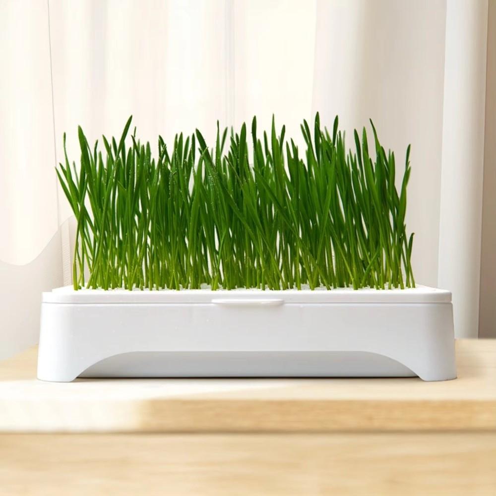 Plastic Hydroponic Tray Self-planted Tray Wheat Seedling Pot Growth Planter Indoor Growing