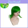 Realistic High Temperature Fiber Anime Cosplay Wig Disgust Character For All Ages