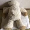 [USED] teddy bear