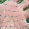 Anti-hanging And Quick-drying Fishing Net Thickened 18-strand Nylon Thread Fish Protection Net Bag With Dense Eyes