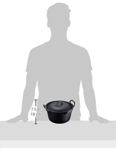 Summit Industries IH Deep Frying Pan, 20cm, with Lid