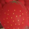 36-inch Round Thickened Cartoon Strawberry Watermelon Balloon - Large and Colorful for Parks and Events.