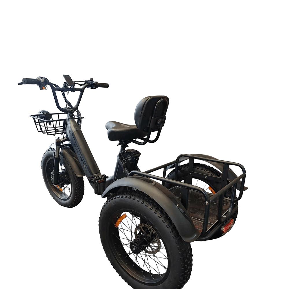 PULUMA SL001 Dual Motor Electric Cargo Trike, Dual Battery 48V 27Ah 7-Speed with Hydraulic Brakes