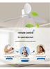 Minimalist Ceiling Fan Light for Living Room, Dining Room & Bedroom