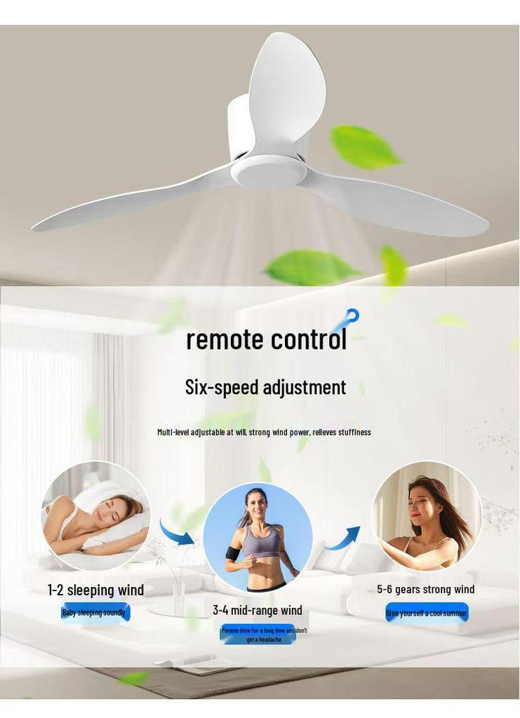 Minimalist Ceiling Fan Light for Living Room, Dining Room & Bedroom