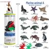 Children's Cognitive Toys: Frog Tadpole Growth Cycle Models