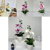 Butterfly Orchid 3d Faux Plant With Indoor Decor For Photography And Home Styling