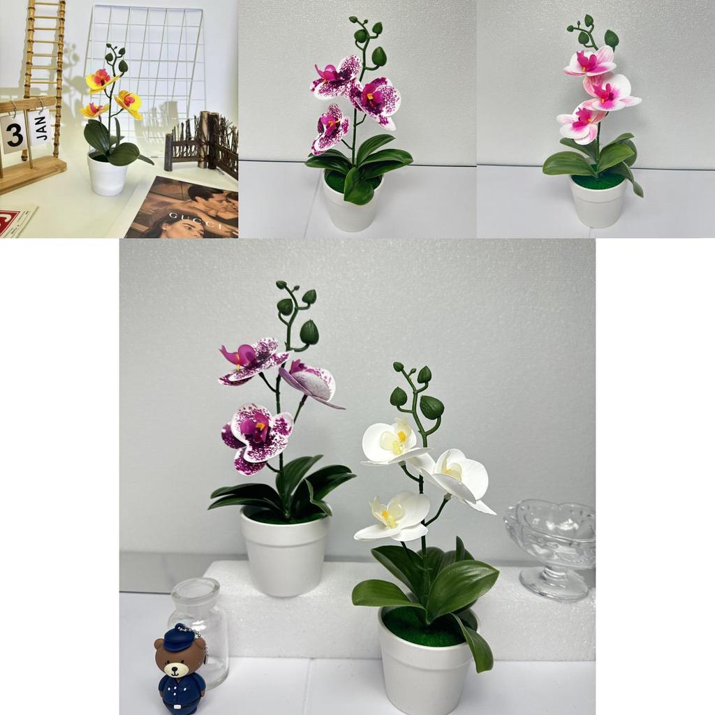 Butterfly Orchid 3d Faux Plant With Indoor Decor For Photography And Home Styling