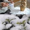 Christmas Decor DIY Instant Artificial Pretend Fake Instant-Snow