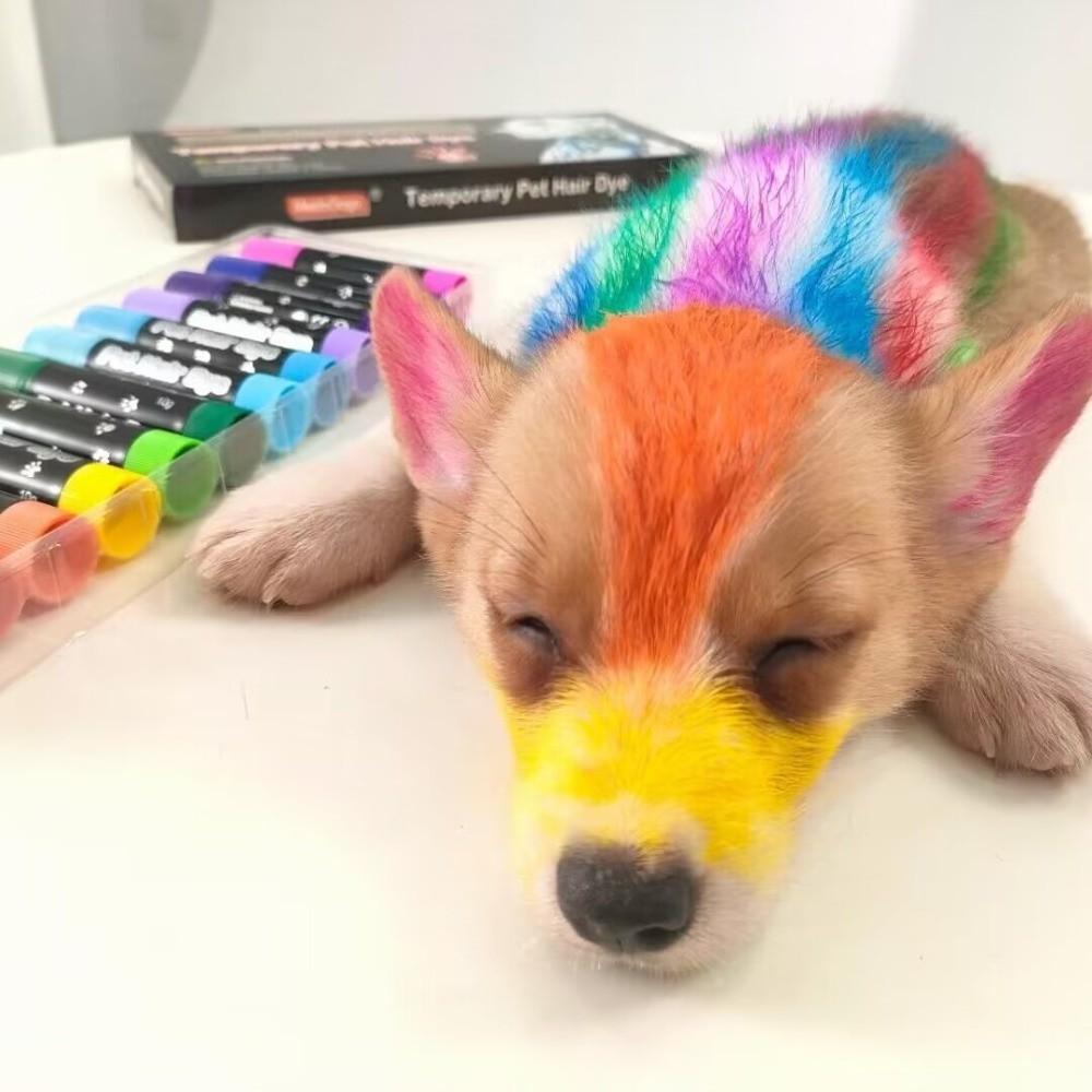 12 Farben Hundehaarfarbe Ungiftiger Tier-Marker Haustiersicher Haarfärbestift für Haustiere Haustier-Styling