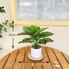 Nordic Artificial Monstera Bonsai - Small Potted Office Desk & Living Room Decor Green Plant.
