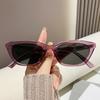 Cat Eye Fashion Sunglasses High-end Small Frame Retro Sunglasses