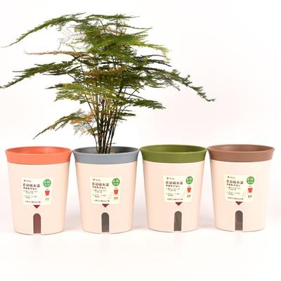 Fauler Hydrokultur-Blumentopf Wasserabsorbierender Blumentopf Sukkulenten-Pflanztopf Kunststoff Selbstbewässernder Pflanzkasten Wohnzimmer Büro Dekor