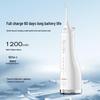 AODMA WT-288 Portable Sonic Tooth Cleaner