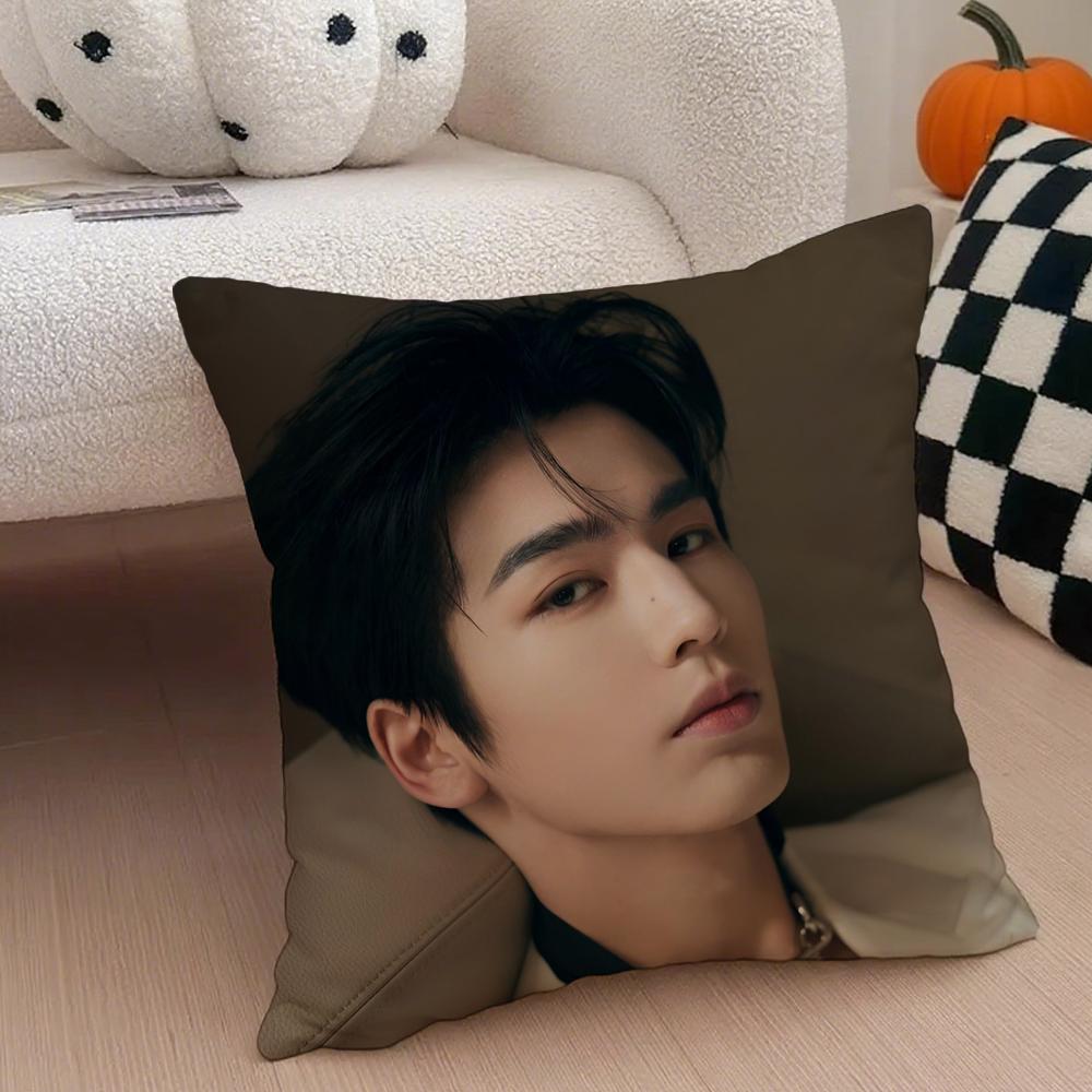 

Handsome Versatile Chinese Actor ZZhangLingHe Cushion Cover Throw Pillow Cover Hidden Button Durable Polyester Chair Cushion 30X30cm