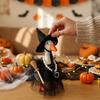 Wizard Hat Tulle Skirt Halloween Witch Goose Outfit Halloween Goose Decor Kit  Yard Decoration